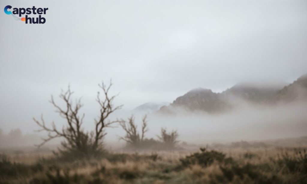 Foggy Captions For Instagram