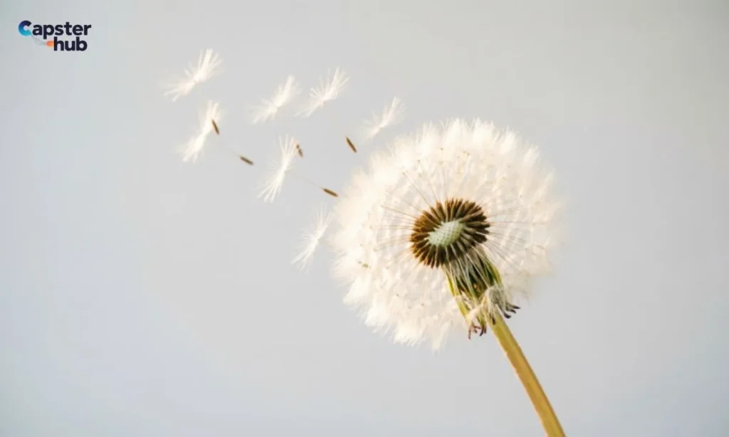 Carefree & Go-With-The-Flow Captions