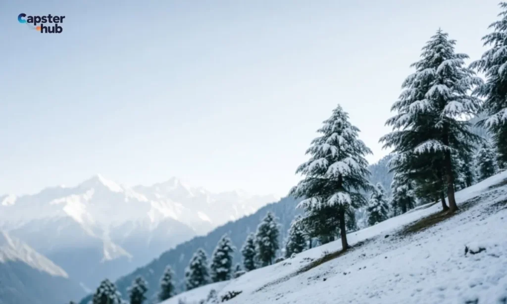Manali Snow Captions for Winter Pictures
