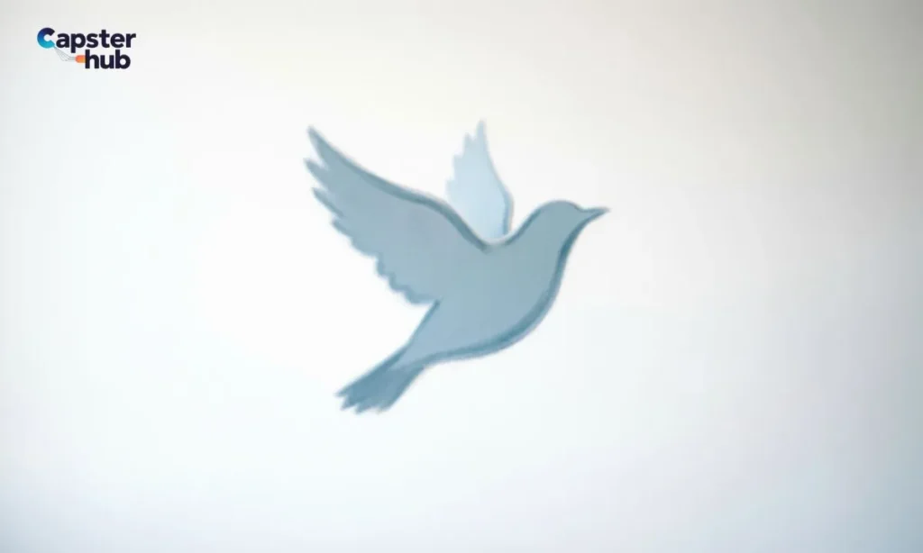 Best Bird Captions for Instagram