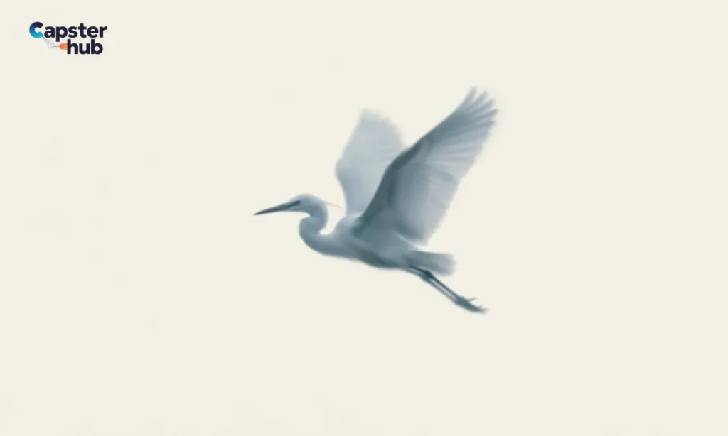 Aesthetic & Poetic Bird Captions for Instagram