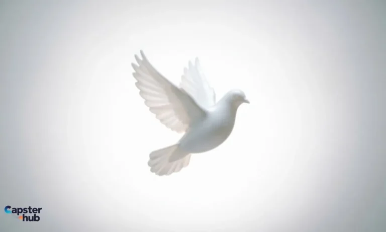220+ Peace Captions for Instagram (2026)